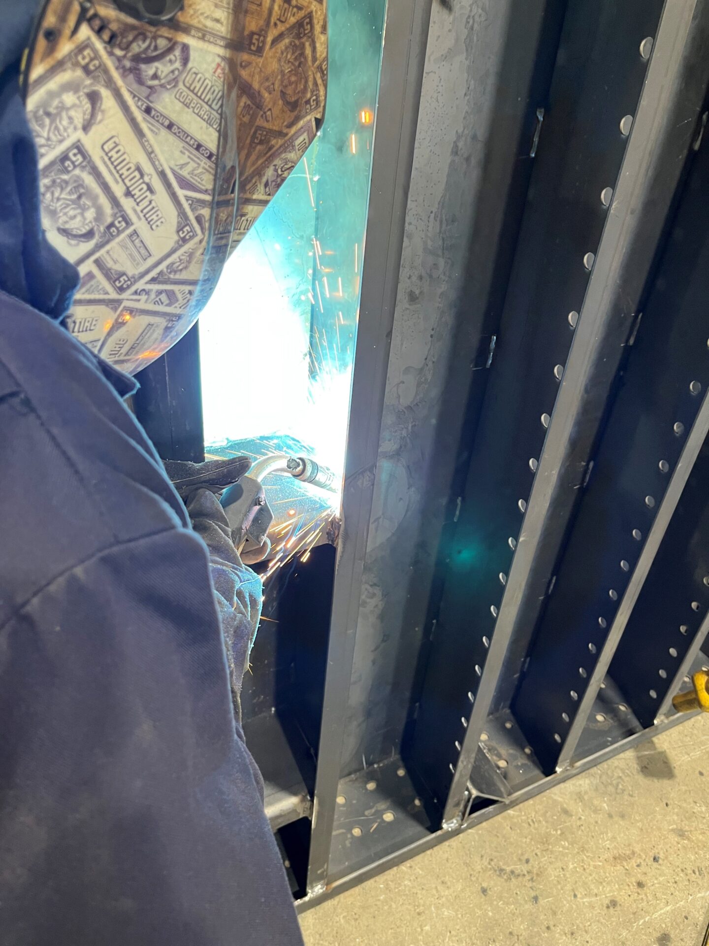 A person looking through the bars of a metal fence.